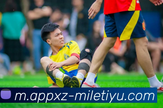 米乐体育平台生态图